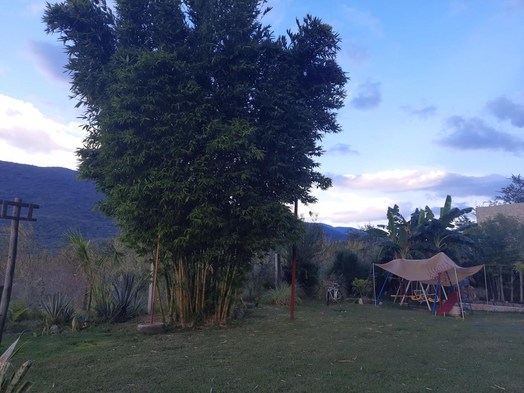 La Cabana De Blanca Jalpan Pokój zdjęcie
